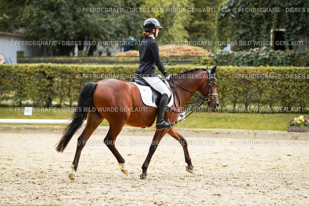 DSC00842 | Pferdegrafie