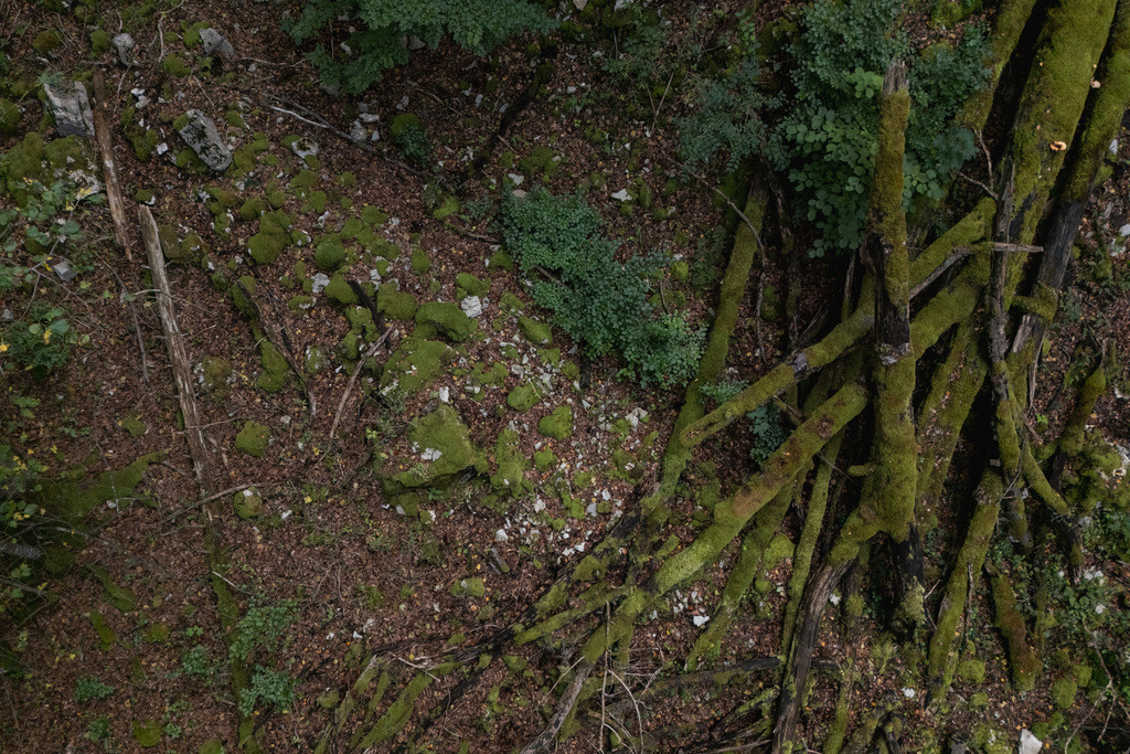 ZD250916101049-2 | default