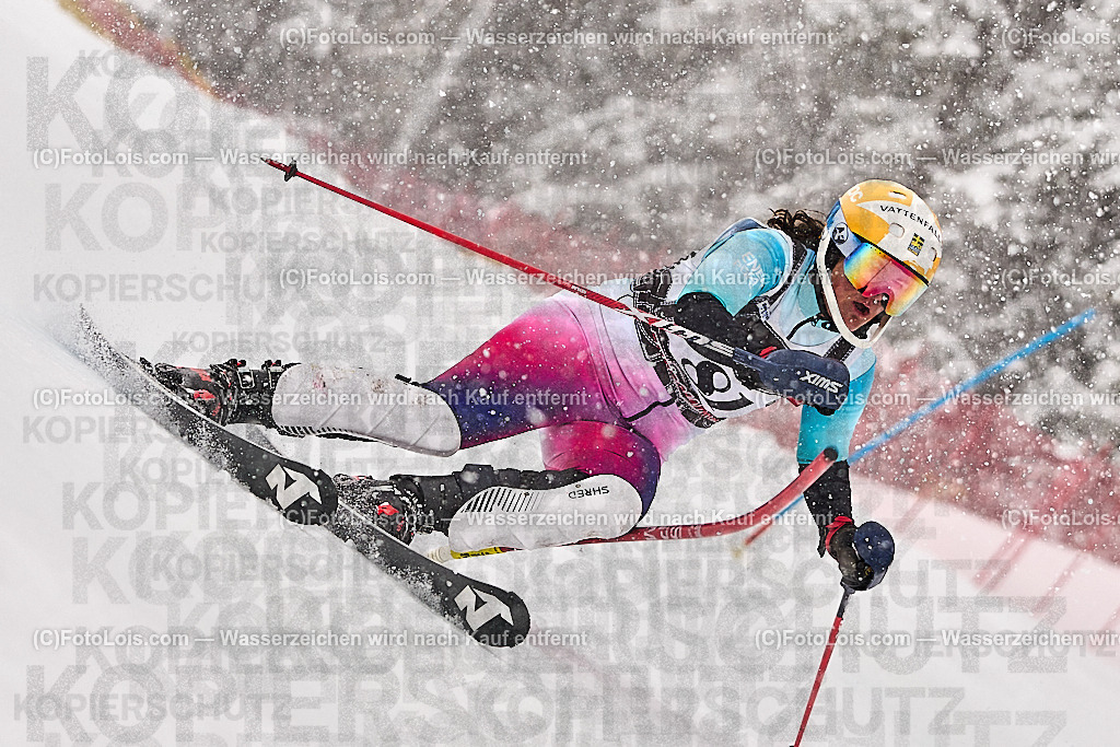 _ALP9091_MASTERS-WM_Reiteralm_CD_SL-I_FREY Tina | FISWORLD CHAMPIONSHIPSMASTERS ALPINE SKIING, 23. – 28. MÄRZ 2026 - REITERALM | STMK | AUT.   Veranstaltet vom Masters-Referat des Deutschen Skiverbandes (DSV). Durchführende Organisation: WSV Pichl-Reiteralm, unterstütutzt von den Bergbahnen REITERALM bei Schladming und SKI AUSTRIA.                            Disziplinen:  Super-G, GiantSlalom, Slalom.                                                 Kategorien:  A (Herrn 30-59 Jahre), B (Herrn ab 60 Jahre), C (Damen 30-59 Jahre), D (Damen ab 60 Jahre).                Rennstrecken:   Gasselhöhe und Muldenliftpiste auf der Reiteralm.