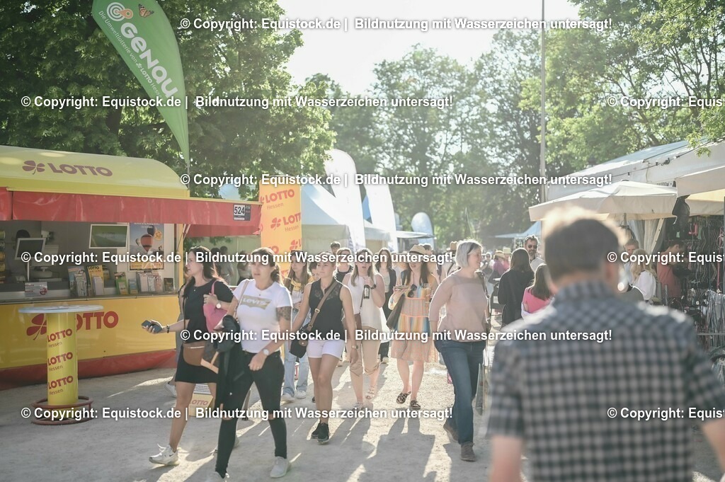 D78_3781 | equistock