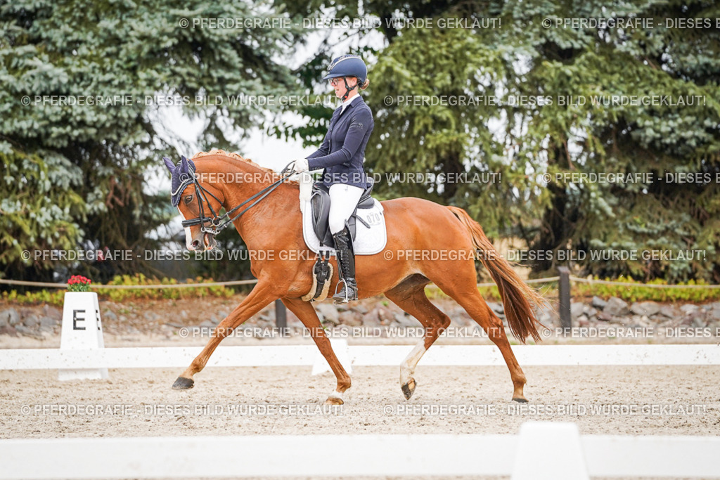 DSC07093 | Pferdegrafie