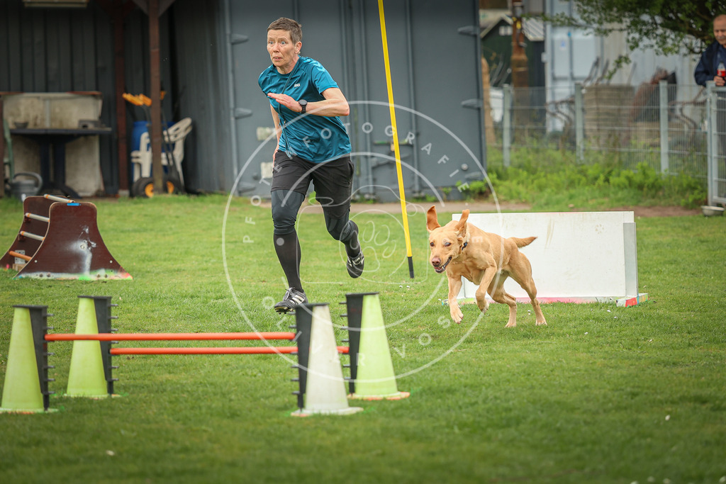 Pfotenfotografie_0L8A0581 | Hundefotografie, Tierfotograf, Pfotenfotografie, Fotoshooting Hund, Hunde Portrait, Hundesport, Hundeportraits, Heideshooting, Hunde, Sportfotograf, Hundefotograf, Turnierhundsport, THS,  - Realisiert mit Pictrs.com
