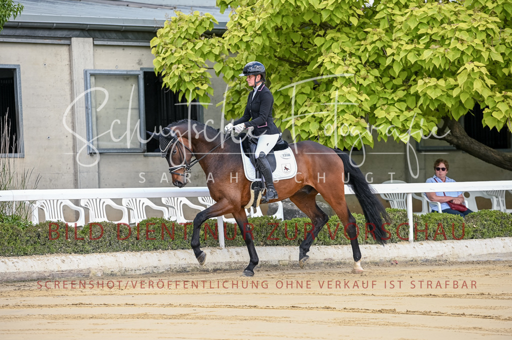 Schugtsche-Aluta25-48.Reitpferfdeprf.-5 | Schugtsche Fotografie - Realisiert mit Pictrs.com