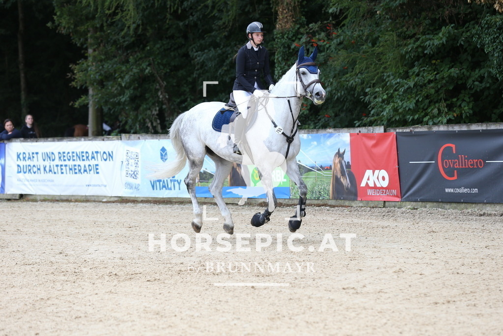 DL2Q4476 | Willkommen bei Brunnmayr - Design & Fotografie – Ihrem Spezialisten für Reitturniere und Pferdeveranstaltungen in Oberösterreich, Salzburg und Bayern! Seit über 17 Jahren sind wir leidenschaftlich dabei.