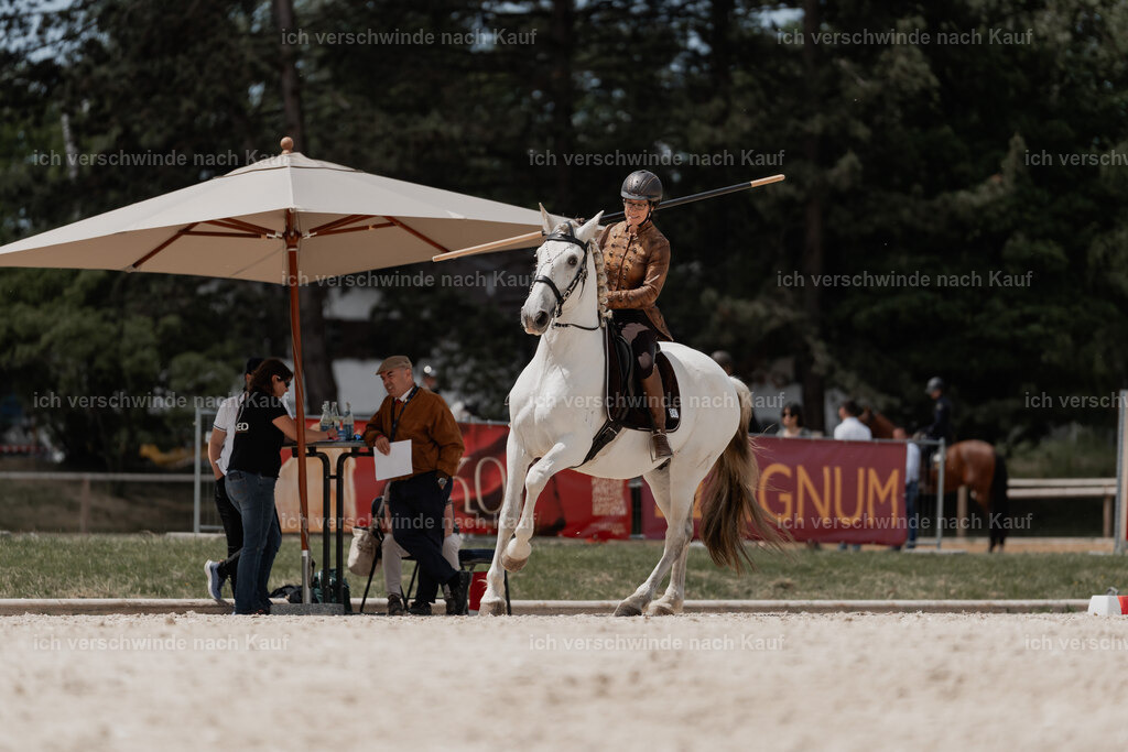 WE_ST_Stoib_347_PI2025_1048 | Pferd International München 2025