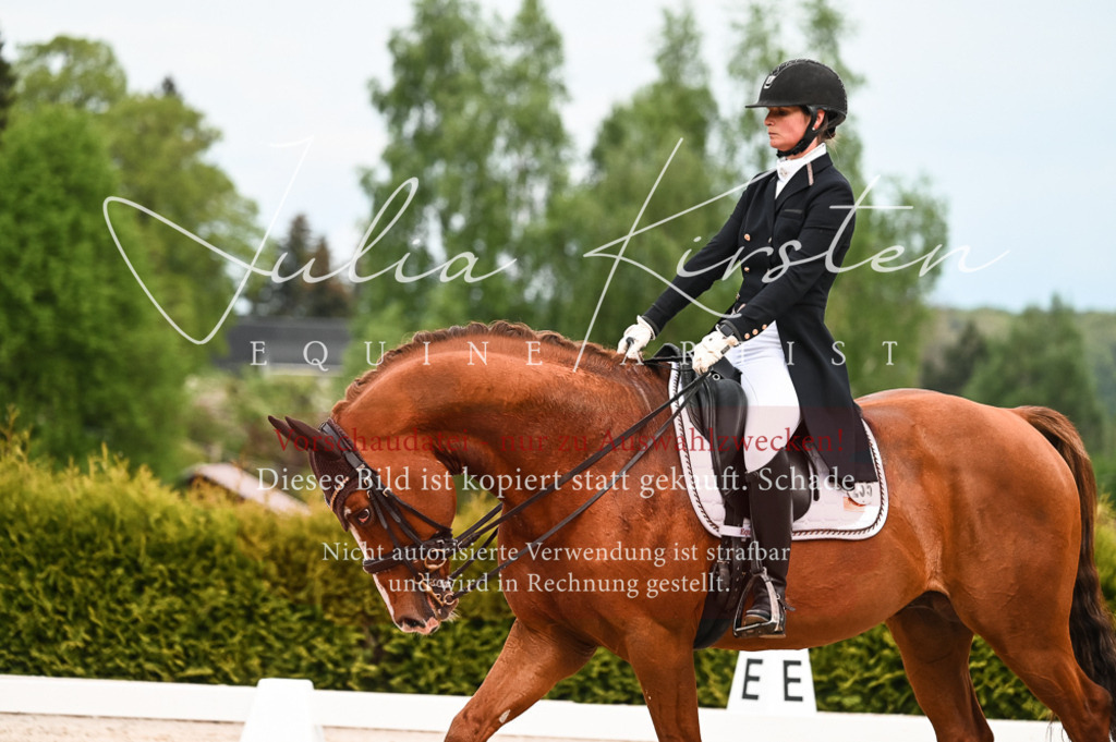 20230513_JK-Röhrsdorf-13-642 | Pferde- und Turnierfotografie in Westsachsen. Pferdeportraits, Auftragszeichnungen und intuitive Kunst.