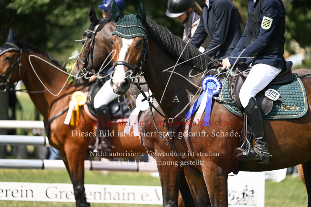 DSC_0702 | Pferde- und Turnierfotografie in Westsachsen. Pferdeportraits, Auftragszeichnungen und intuitive Kunst.
