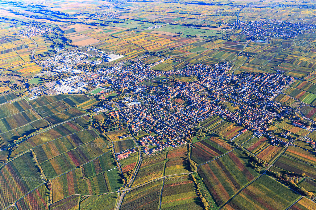 Luftbild: Stadtansicht aus Nordwesten in Edenkoben im Bundesland Rheinland-Pfalz in Deutschland. Foto: IMG_104064.jpg vom 14.10.2017 durch Werner Riehm/FLY-FOTO.de