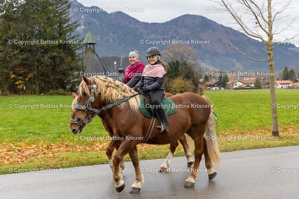 LL25-25 | foto-bettina-krinner - Realisiert mit Pictrs.com