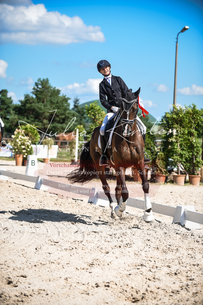 DSC_9763 | Pferde- und Turnierfotografie in Westsachsen. Pferdeportraits, Auftragszeichnungen und intuitive Kunst.