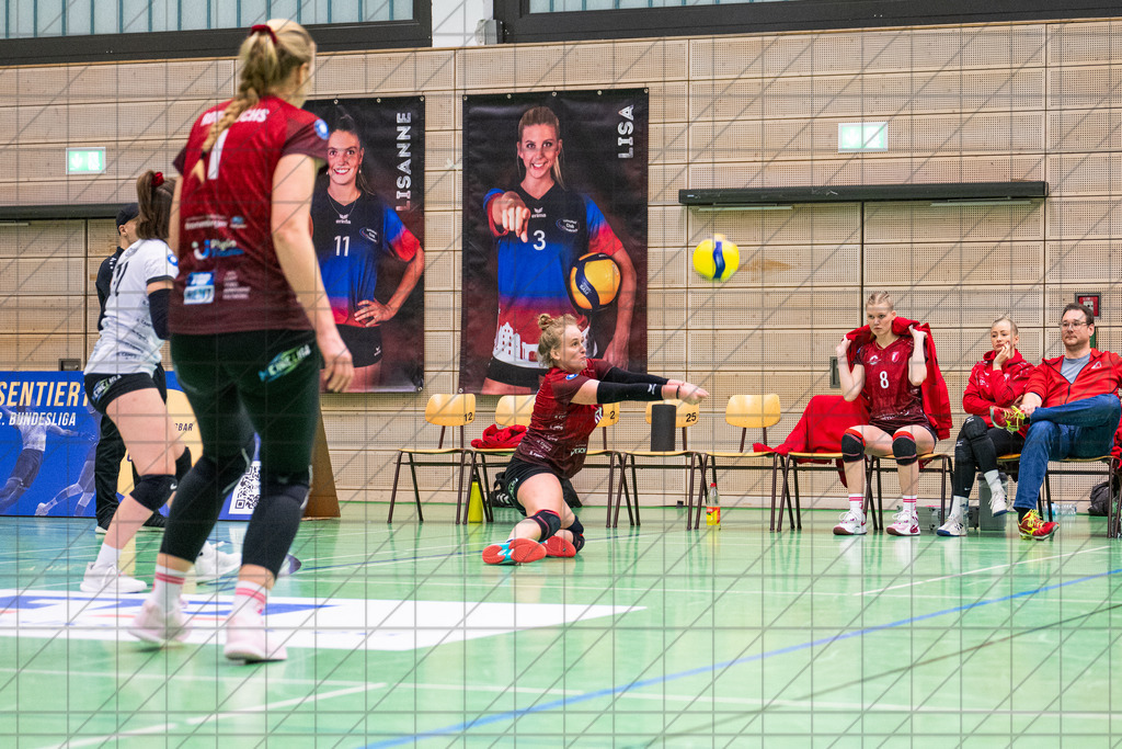 2. VBLF Nord 25/26 | Spiel 4065 | VC Osnabrück vs. TUSA City Girls Düsseldorf | //  10.01.26: 2. VBLF Nord 25/26 | Spiel 4065 | VC Osnabrück vs. TUSA City Girls Düsseldorf / Osnabrück / Deutschland  //   CREDIT:www.bullenfotos.de, Martin König, Hörner Weg 40, D-49078 Osnabrück, +4917663732967 // Nutzung und Weitergabe nur zu den vereinbarten Zwecken. Presseanfragen an Ersteller. Alle Rechte beim Ersteller. Honorierung nach MFM. - Realisiert mit Pictrs.com
