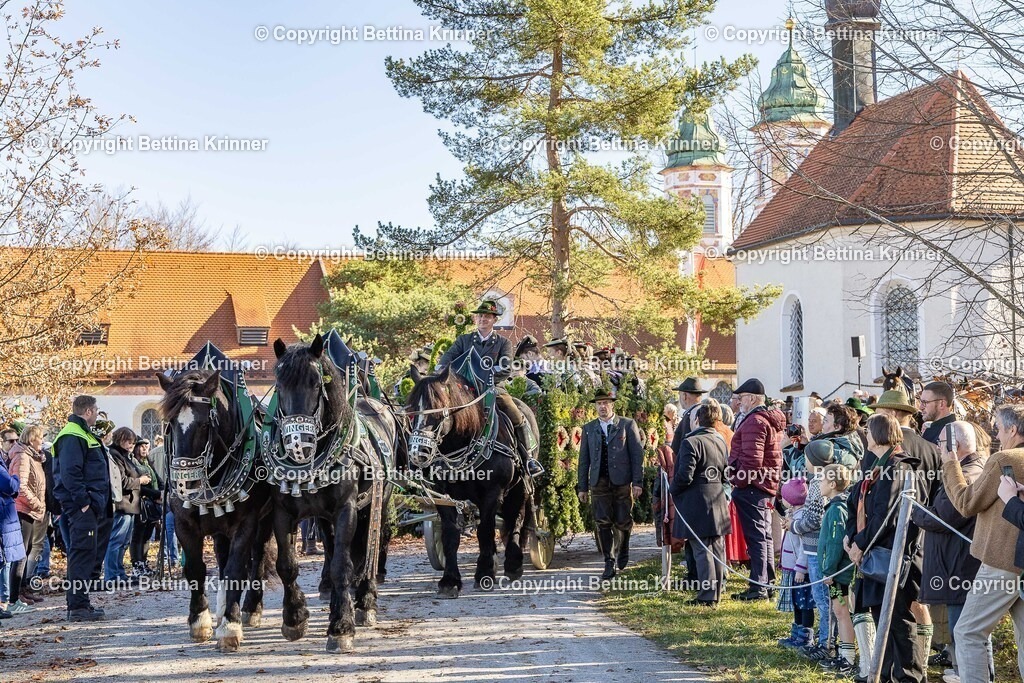 LBT25-1050 | foto-bettina-krinner - Realisiert mit Pictrs.com