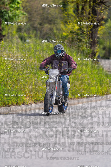 MSFotoService-487 | MSFotoService - Realisiert mit Pictrs.com