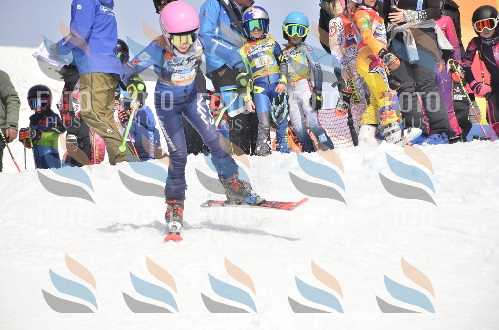 _ELE8828 | holidayphoto