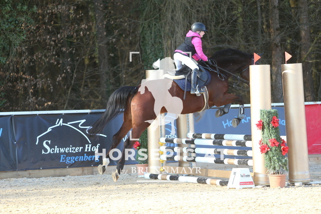 DL2Q1813 | Willkommen bei Brunnmayr - Design & Fotografie – Ihrem Spezialisten für Reitturniere und Pferdeveranstaltungen in Oberösterreich, Salzburg und Bayern! Seit über 17 Jahren sind wir leidenschaftlich dabei.