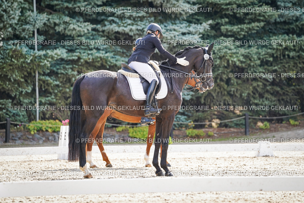 DSC06602 | Pferdegrafie