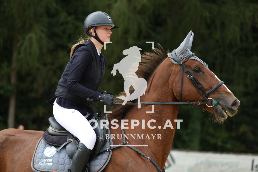 0P6A6060 | Willkommen bei Brunnmayr - Design & Fotografie – Ihrem Spezialisten für Reitturniere und Pferdeveranstaltungen in Oberösterreich, Salzburg und Bayern! Seit über 17 Jahren sind wir leidenschaftlich dabei.