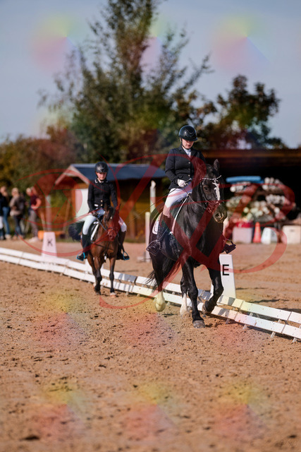 2026_10_03_Siefer-Hof_120729_Z81_09303071 | Professionelle Reitsport-, Turnier- und Eventfotografie von Robert Broda. Galerien mit ausgewählten und bearbeiteten Bildern direkt online ansehen und bestellen.