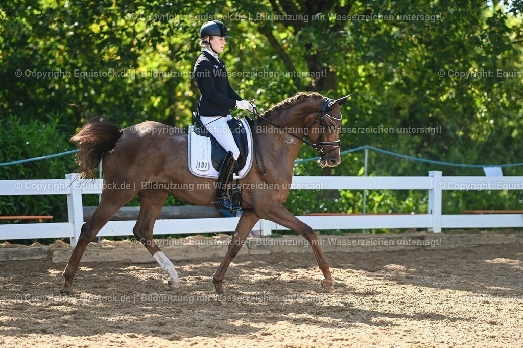 20230715_06_Dressurpferdeprfg. Kl.A_0424 | equistock
