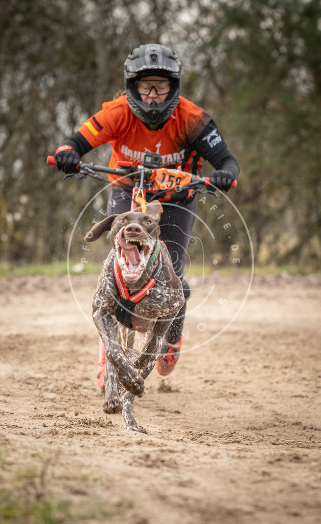 Pfotenfotografie_DV3A9076 | Hundefotografie, Tierfotograf, Pfotenfotografie, Fotoshooting Hund, Hunde Portrait, Hundesport, Hundeportraits, Heideshooting, Hunde, Sportfotograf, Hundefotograf, Turnierhundsport, THS,  - Realisiert mit Pictrs.com