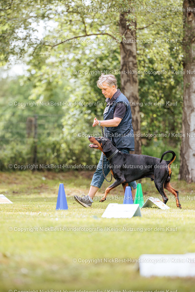 RO-Blumenthal-2026-Nickbest-Hundefotografie-5261 | Dein Hund! Dein Moment! Deine Erinnerungen! Hundefotografie in Bremen Blumenthal. Ich fange die besonderen Momente deines Vierbeiners ein – ob Indoor mit Blitzanlage oder in der freien Natur. Sicher dir dein Moment und dein Termin für eure Erinnerungen.