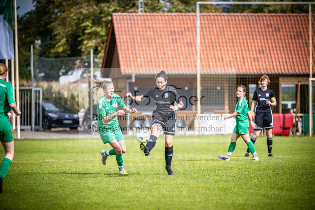 SG Bohmte/Ostercappeln/Schwagstorf - SG Hollenstede / Schwagstorf | Fr.-BZL Weser-Ems Süd · 1. Damen - SG Hollenstede / Schwagstorf · Sportplatz - Realisiert mit Pictrs.com