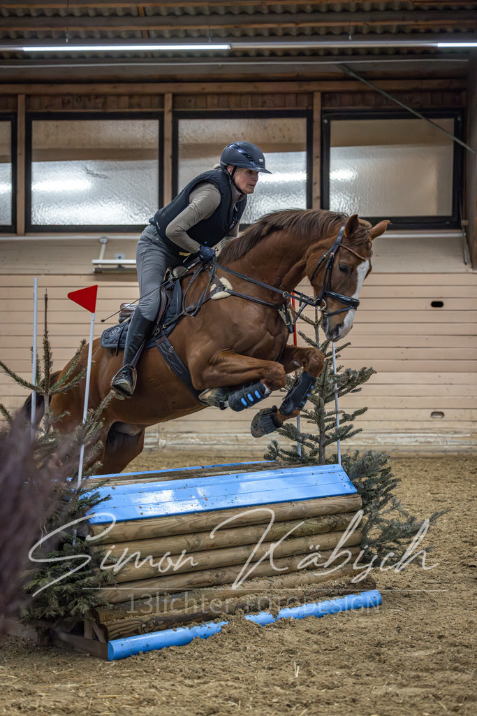 20260222-_3LI1204 | Tierfotografie Pferde, Hunde, Katzen, Haustiere.
Turnierfotografie Reitturniere, Reiten, Springreiten, Dressur in Hanau, dem Main-Kinzig-Kreis und dem Rhein-Main- Gebiet um Frankfurt