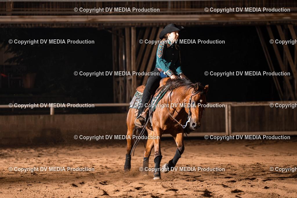 Erbach Tag 3-1028 | dv-media-shop - Realisiert mit Pictrs.com