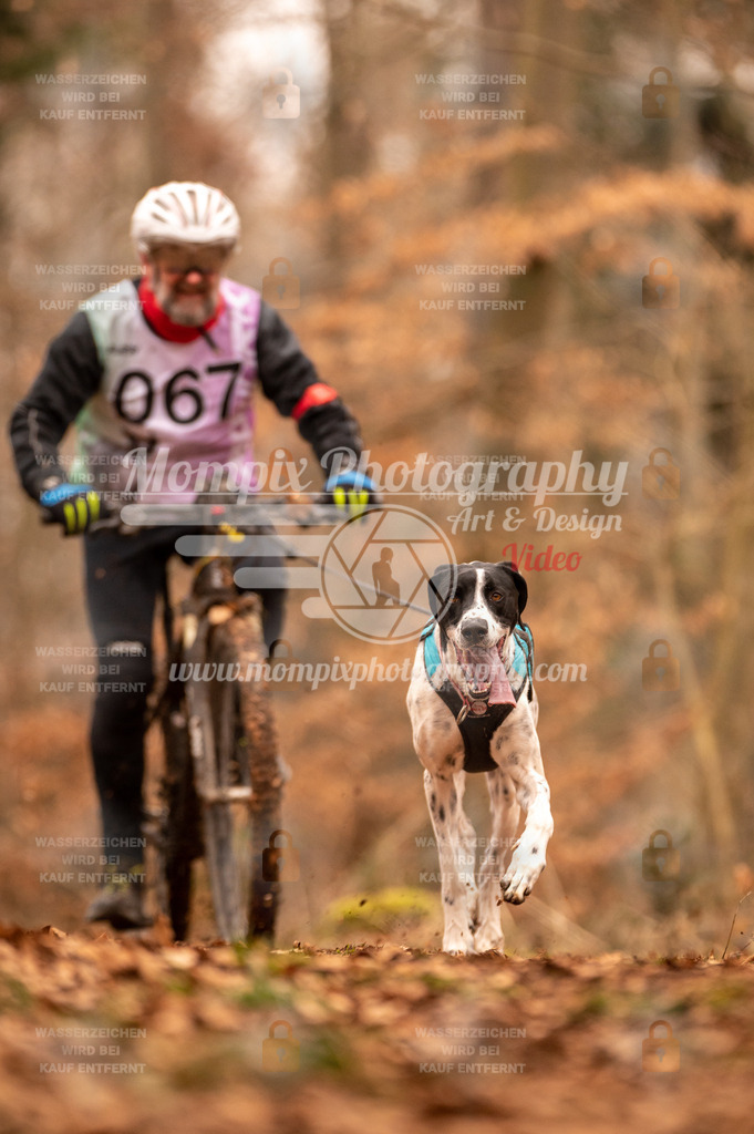 AKM_ST_2023_SAM_Bike-44 | PayLife