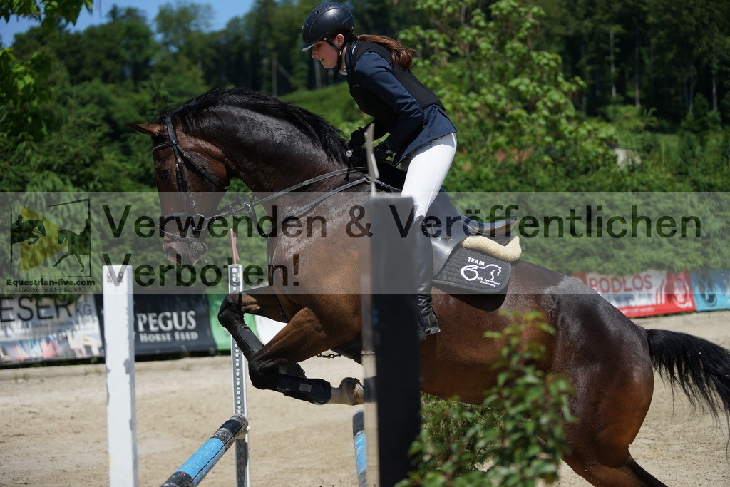 DSC09223 | equestrian-live-com