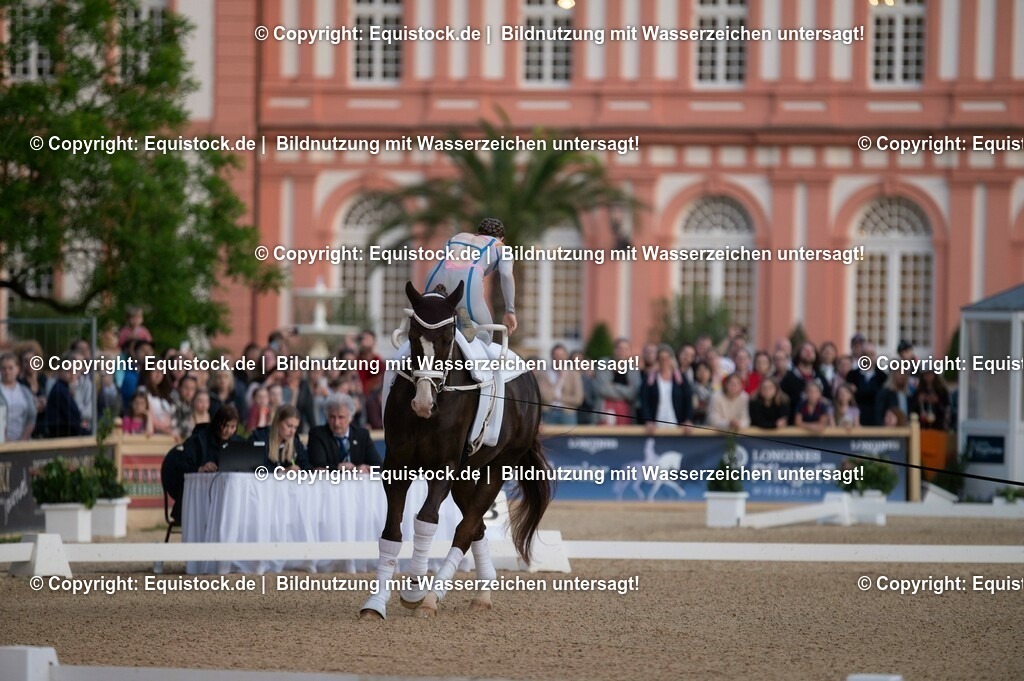 20230527_Voltigieren_NASPA_Flutlicht_0025 | equistock