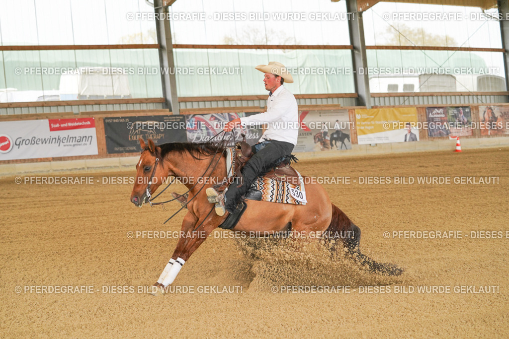 DSC06903 | Pferdegrafie