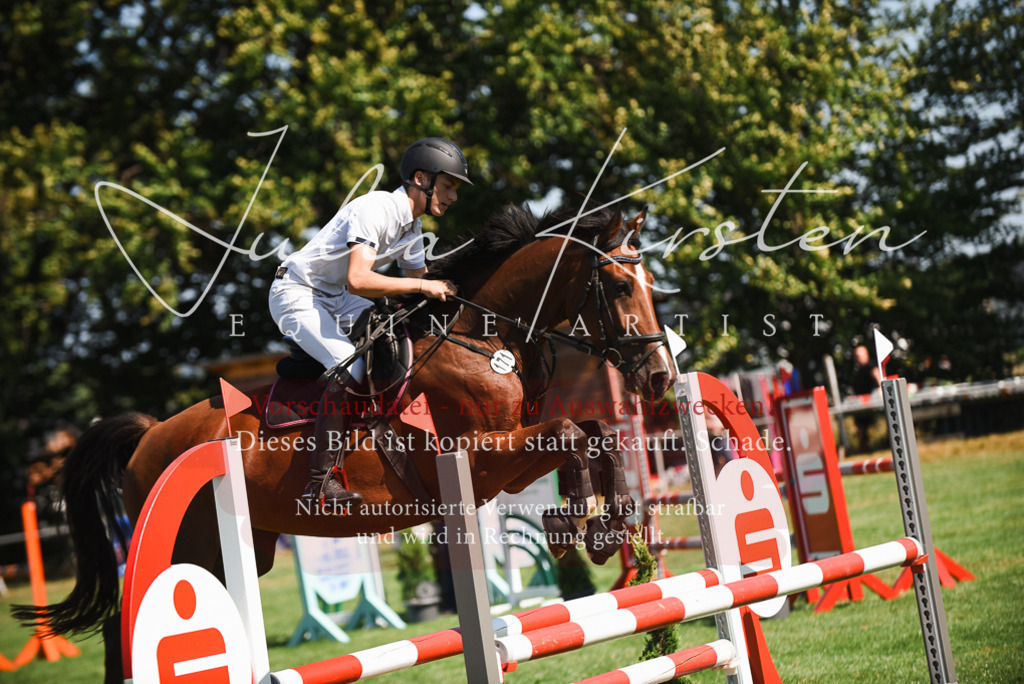 DSC_2813 | Pferde- und Turnierfotografie in Westsachsen. Pferdeportraits, Auftragszeichnungen und intuitive Kunst.