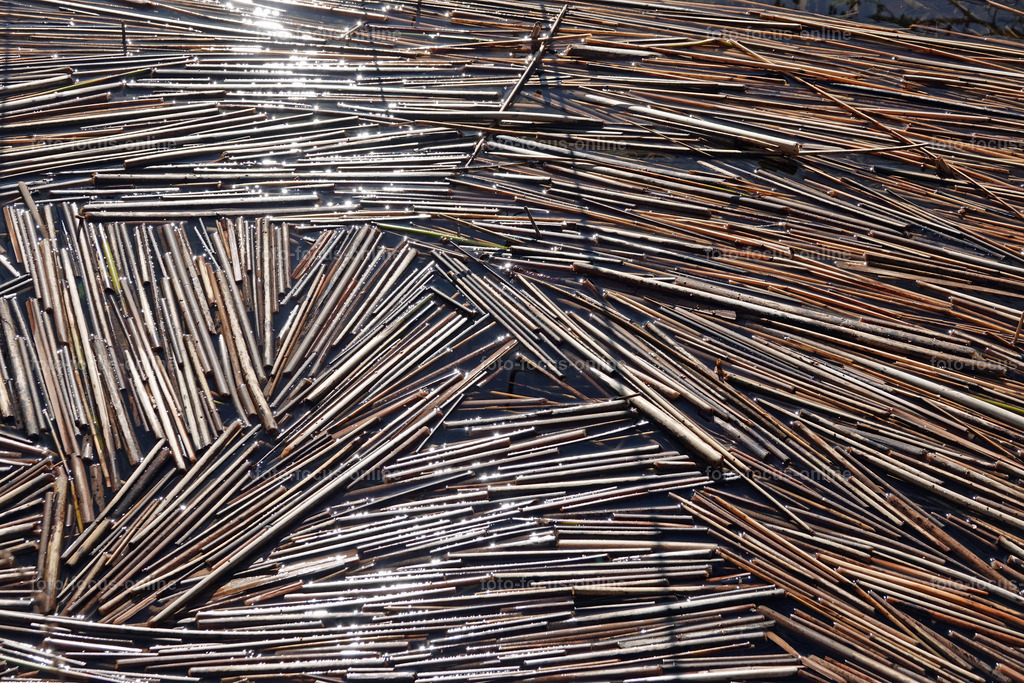 Smiling Lake_25 | Drifting reeds in the lake