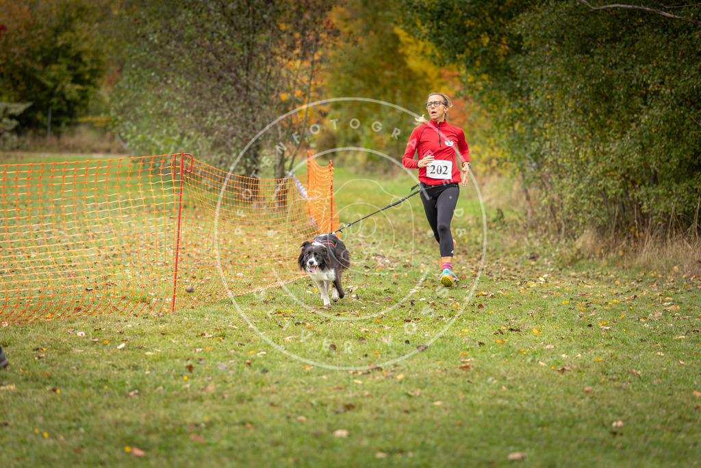 Pfotenfotografie_DV3A4135 | Hundefotografie, Tierfotograf, Pfotenfotografie, Fotoshooting Hund, Hunde Portrait, Hundesport, Hundeportraits, Heideshooting, Hunde, Sportfotograf, Hundefotograf, Turnierhundsport, THS,  - Realisiert mit Pictrs.com