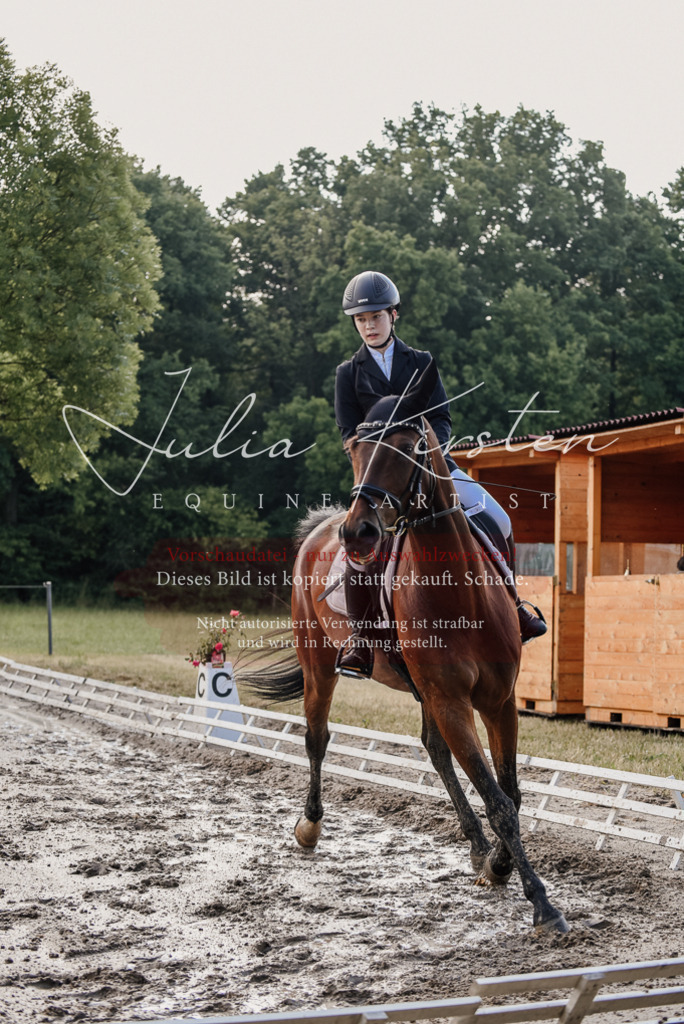 DSC_7954 | Pferde- und Turnierfotografie in Westsachsen. Pferdeportraits, Auftragszeichnungen und intuitive Kunst.