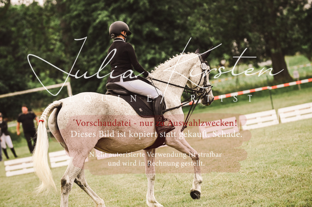 DSC_4965 | Pferde- und Turnierfotografie in Westsachsen. Pferdeportraits, Auftragszeichnungen und intuitive Kunst.