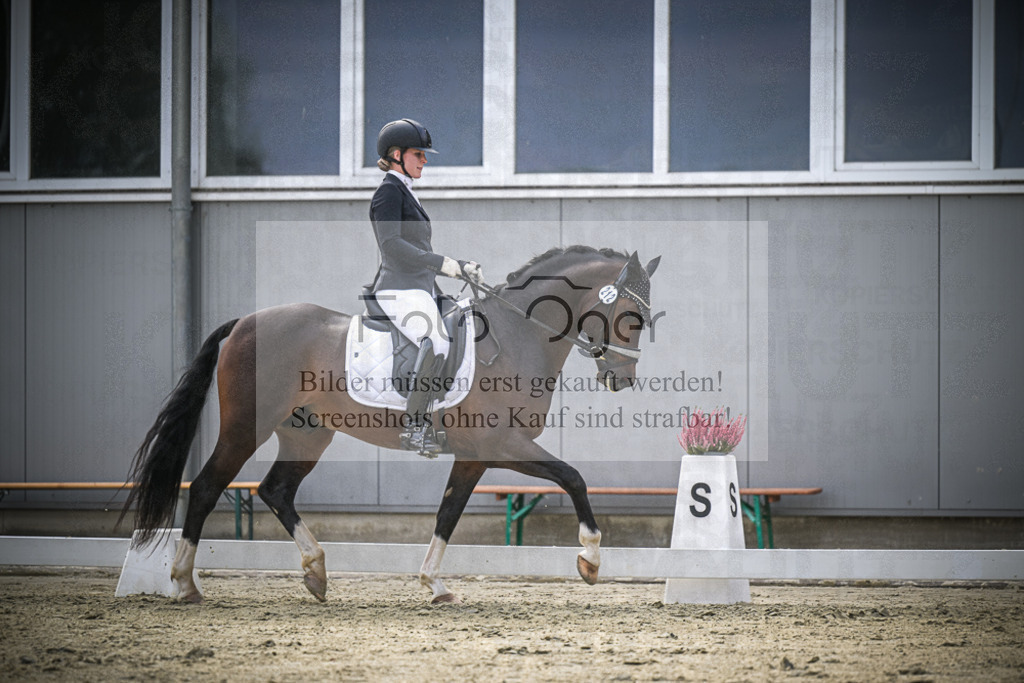 DOS_0961 | Entdecke hochwertige Reitturnierfotos von Foto Oger. Professionell, emotional und authentisch – jetzt Lieblingsmomente im Shop bestellen.Deutschlandweite Turnierfotografie. - Realisiert mit Pictrs.com