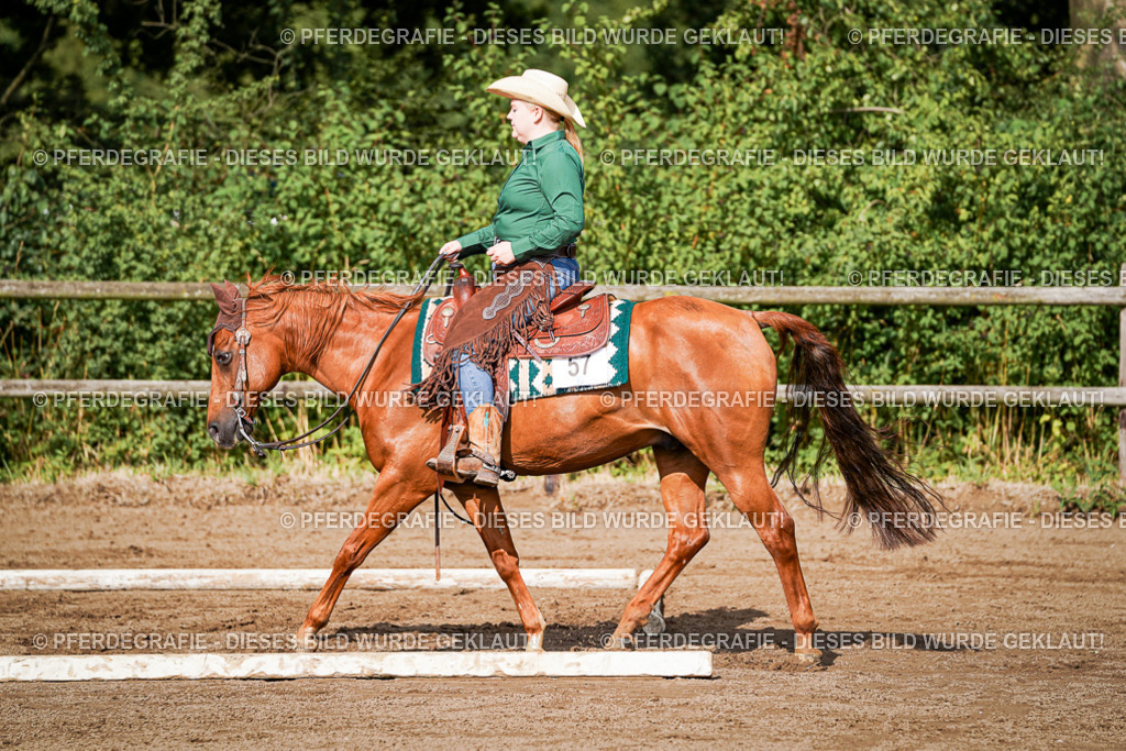 DSC00139 | Pferdegrafie