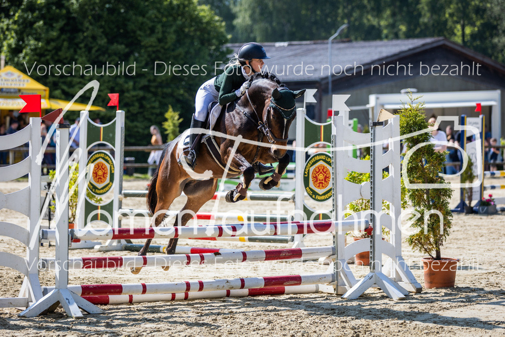 Donop24-ESpr-076 | MomenTaufnahmen Pferdesportfotos