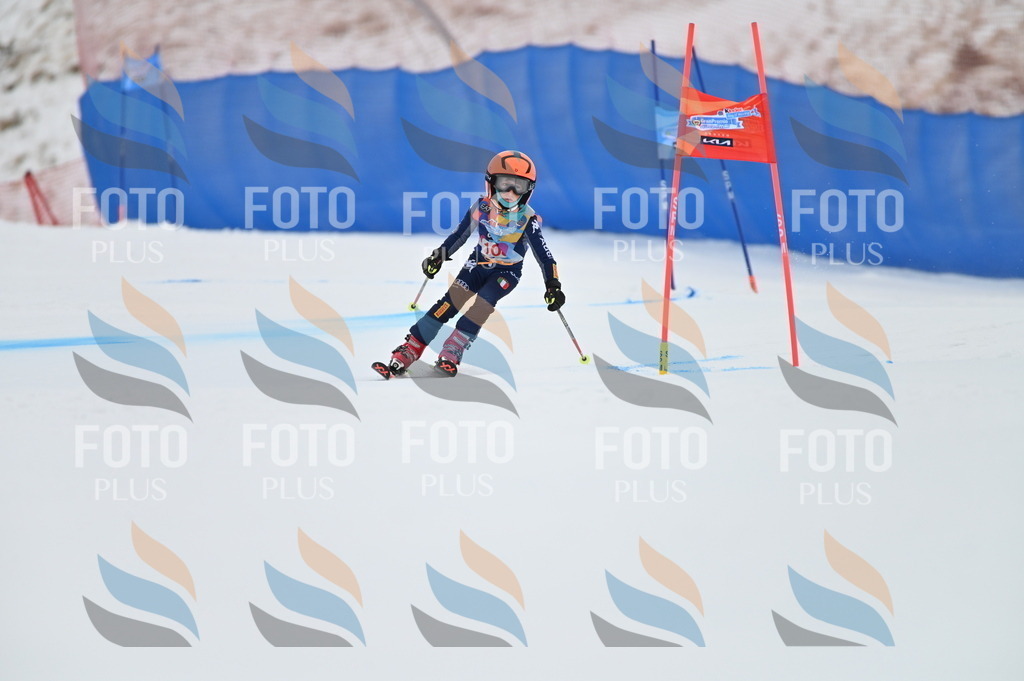 BGV_9371 | holidayphoto