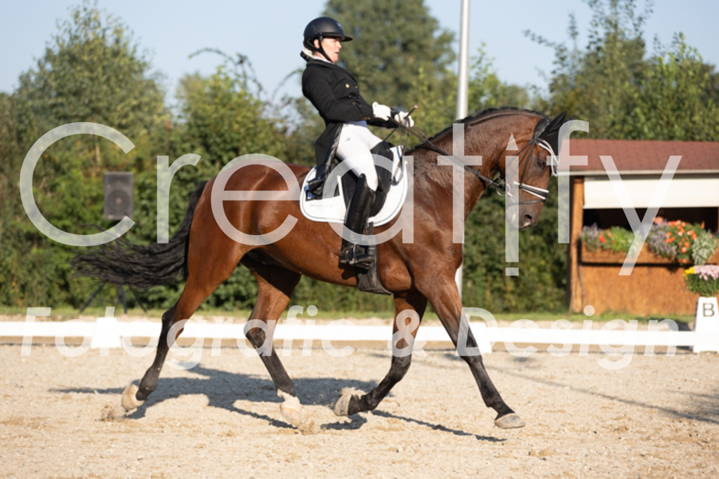 IMG_1250 | Creatify Fotografie