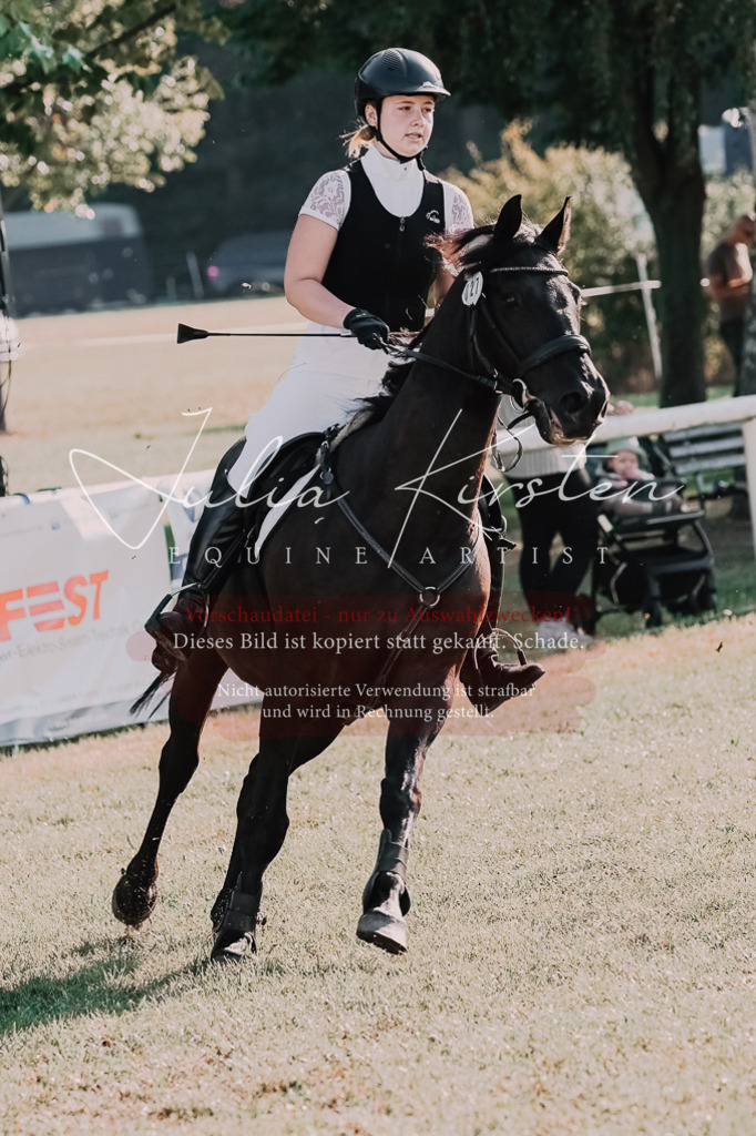 DSC_4515 | Pferde- und Turnierfotografie in Westsachsen. Pferdeportraits, Auftragszeichnungen und intuitive Kunst.