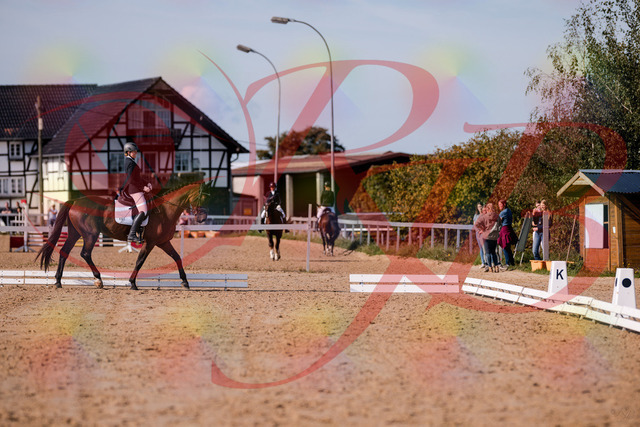 2026_10_03_Siefer-Hof_122827_Z81_26924833 | Professionelle Reitsport-, Turnier- und Eventfotografie von Robert Broda. Galerien mit ausgewählten und bearbeiteten Bildern direkt online ansehen und bestellen.