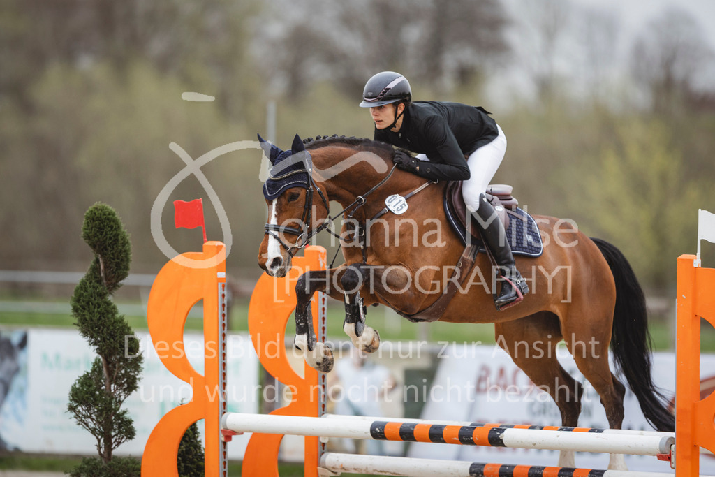 240330_Fruehlingsfest_Stil-A2-2-703 | Deine schönsten Turniermomente als professionelle Fotos! Entdecke hochwertige Pferdesport-Fotografie im Online-Shop. Jetzt Fotos finden & bestellen!
