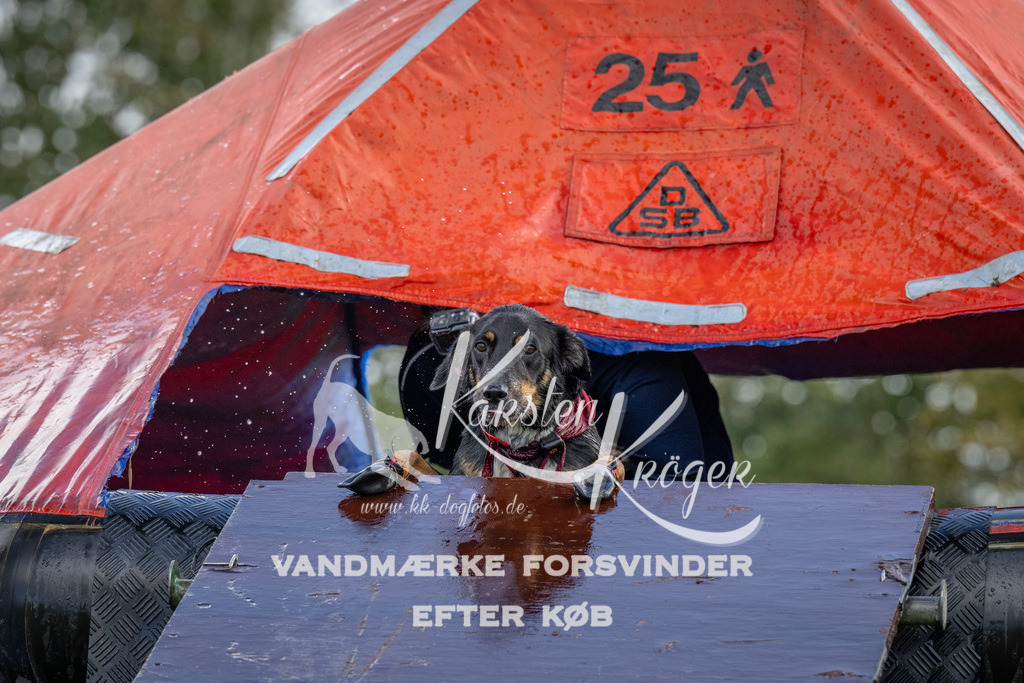 1224-93663 | kk-dogfotos
