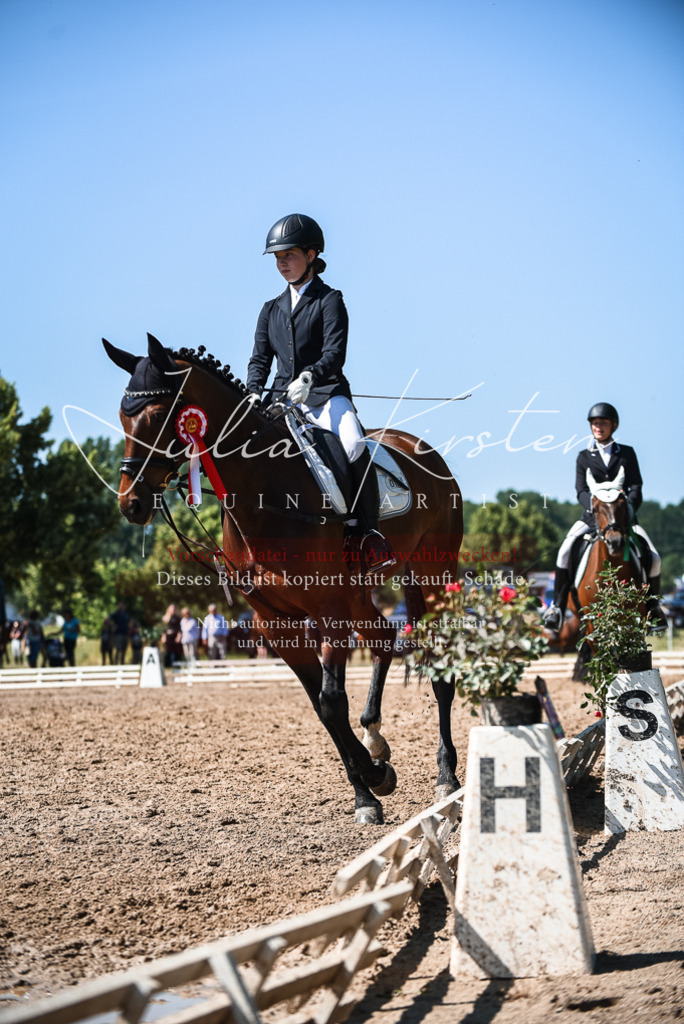 DSC_3713 | Pferde- und Turnierfotografie in Westsachsen. Pferdeportraits, Auftragszeichnungen und intuitive Kunst.