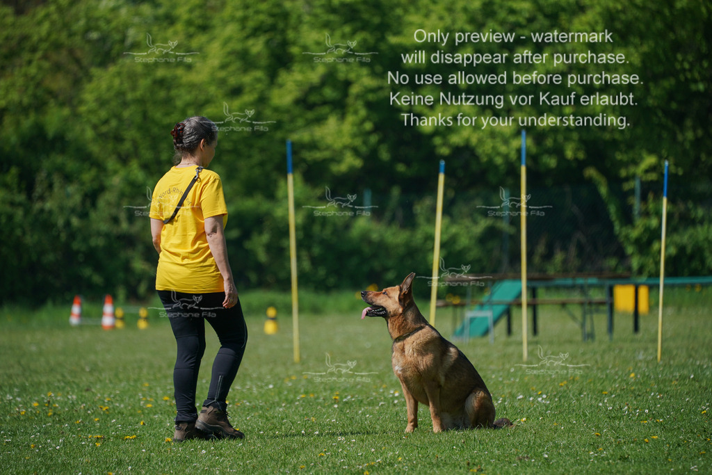 Sa_Gehorsam_Vormittag-153 | stephaniefillaphotographie - Realisiert mit Pictrs.com