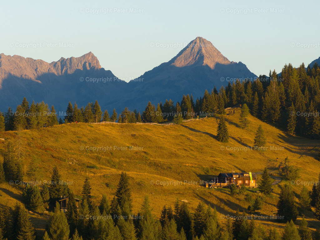 Winklerner_Hütte_Erlebnisraum_Wald_23_Peter_Maier-33 | default