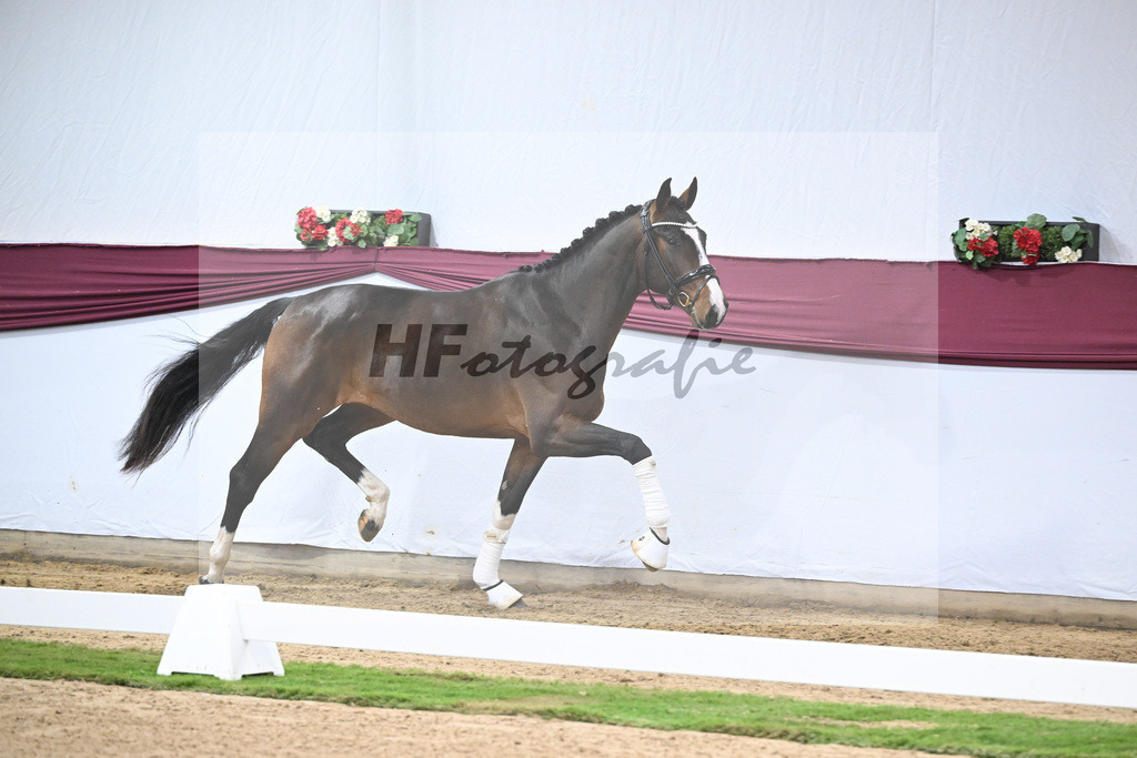 Kat-Nr. 124 Global Player x Floriscount_Christian Wittlinger_47254140 | hf-fotografie - Realisiert mit Pictrs.com